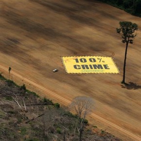 Greenpeace-Amazonia-deforestacion-crimen